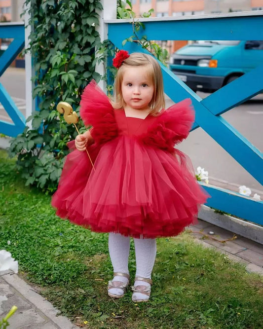 Scarlet tulle frock with flutter sleeves for a baby girl